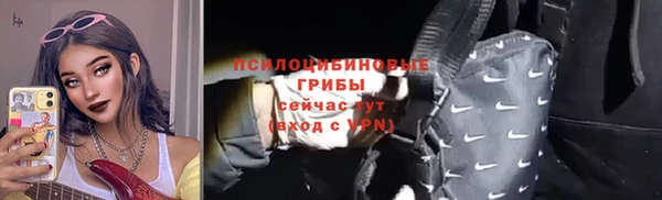 ешки Елабуга