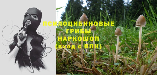 стафф Дмитриев