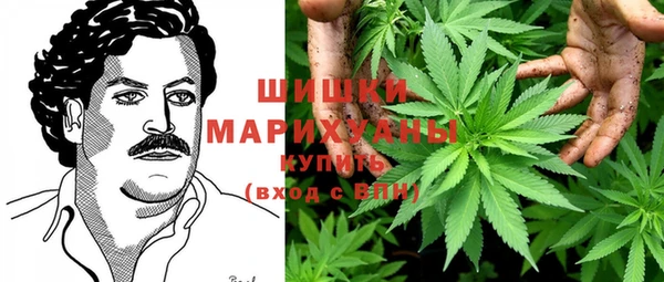 Альфа ПВП Елизово