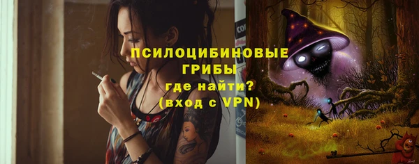 Альфа ПВП Елизово
