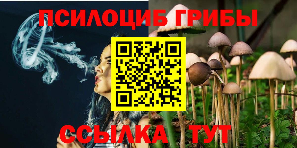 Псилоцибиновые грибы мицелий  Вход с VPN  Заволжье 
