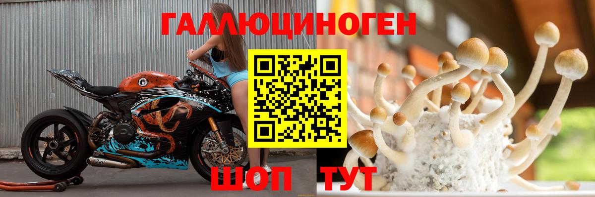 Галлюциногенные грибы Psilocybe Заволжье